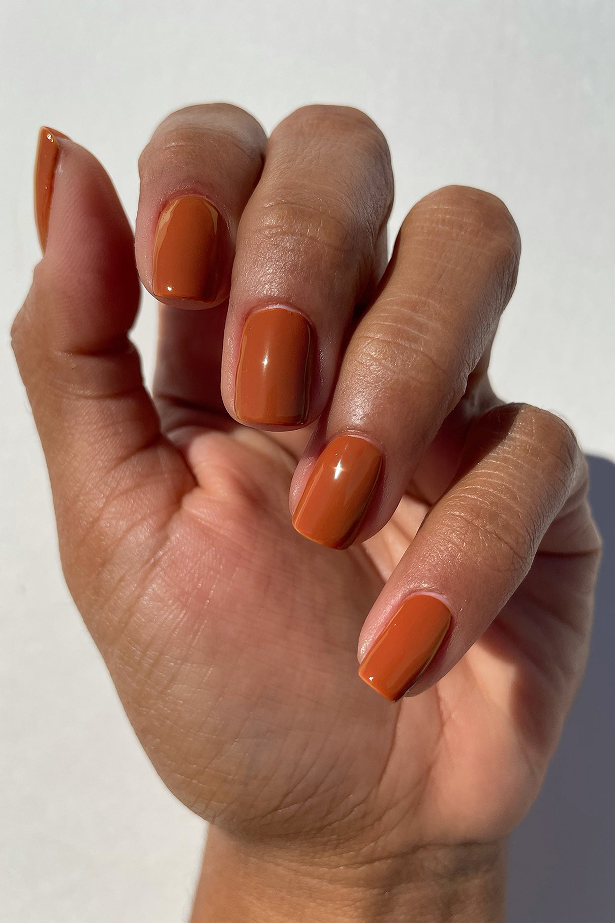 The Beauty of Life: Orange Nail Polish Swatches: Essie Orange, It's  Obvious! & Ciate Speed Dial